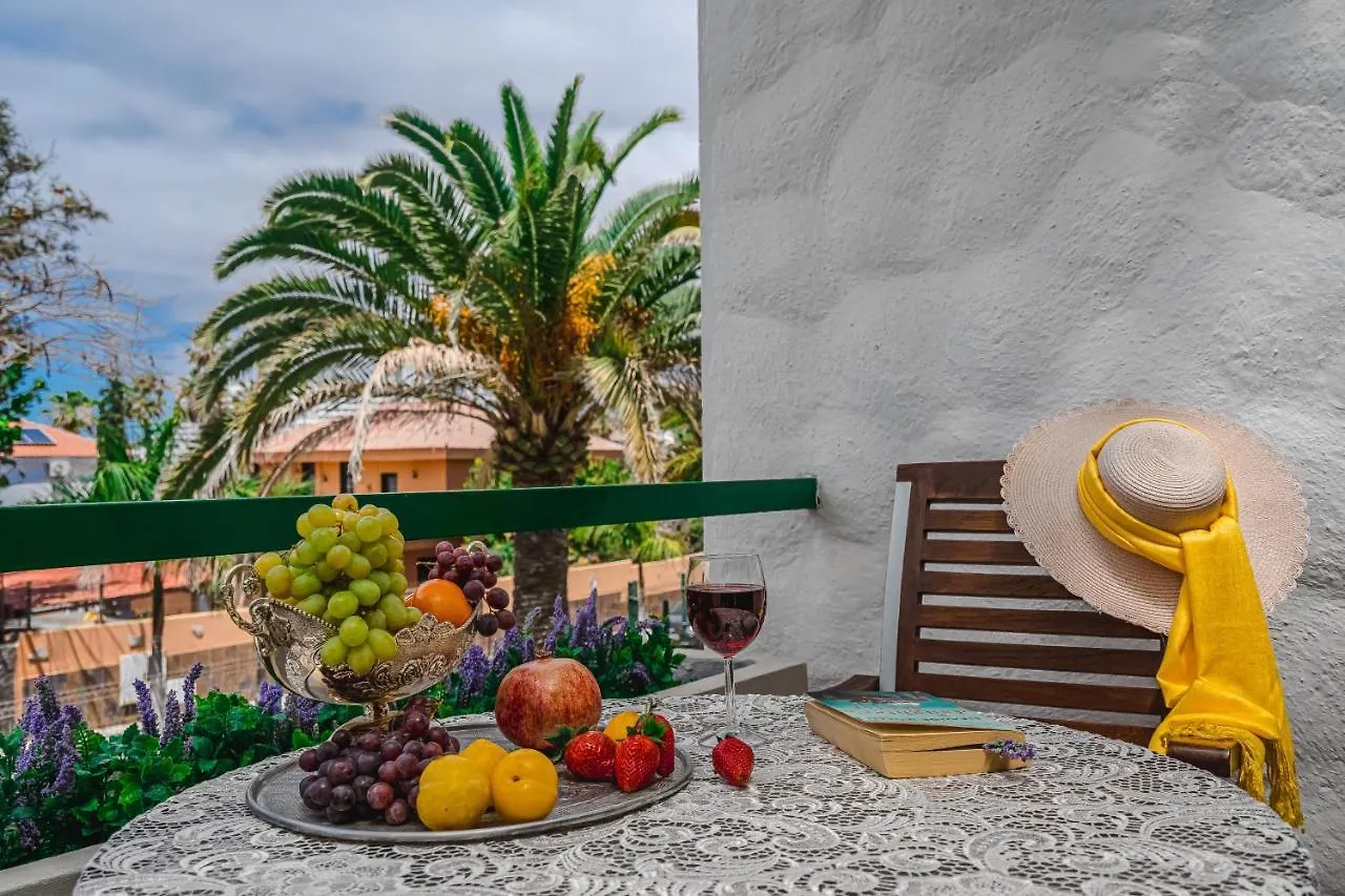 Cozy Apartments - 150 Meters From The Beach, Free Wi-Fi Playa de las Americas  Spain